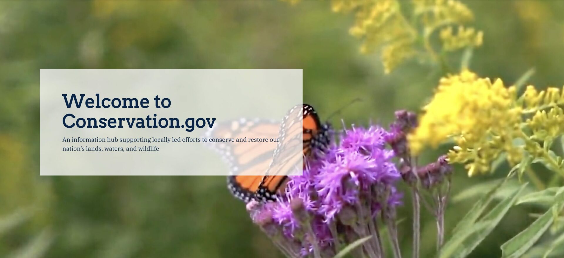 Home Page of the new Conservation.gov website